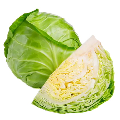 Cabbage