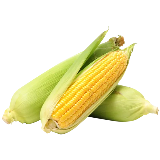 Corn